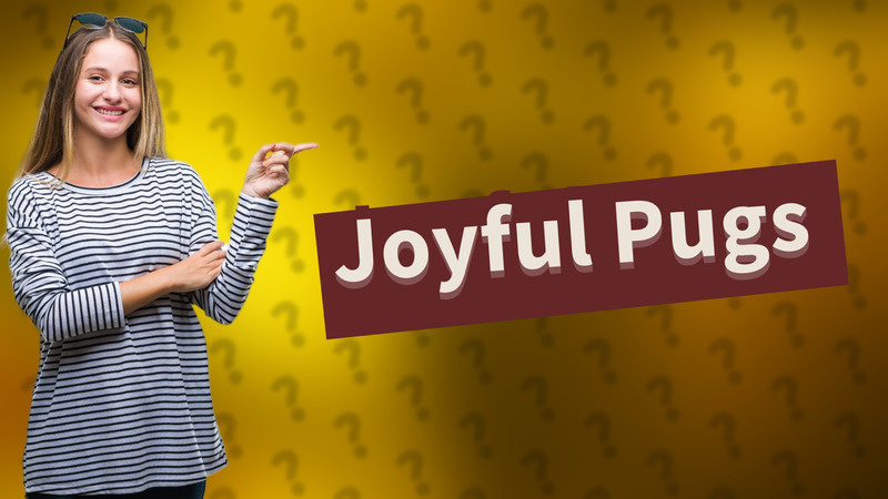 Joyful Pugs