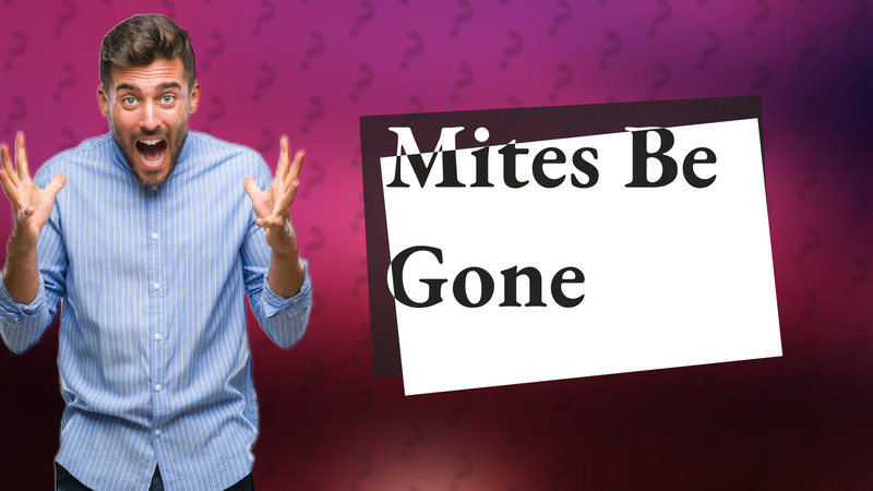 Mites Be Gone