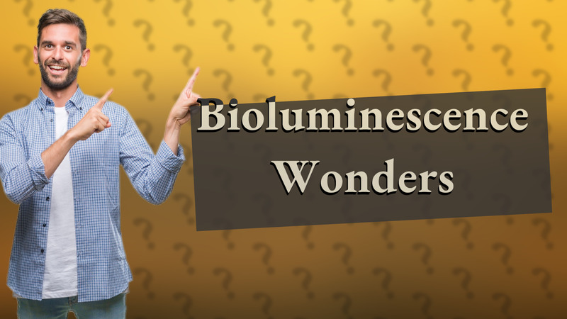 Bioluminescence Wonders