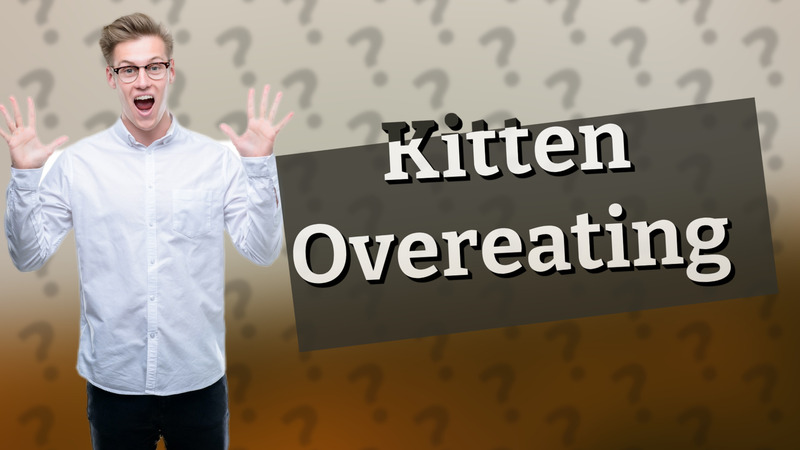 Kitten Overeating