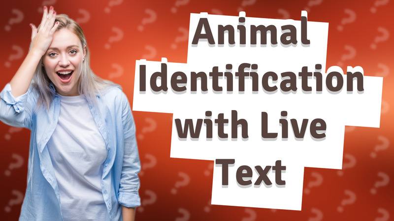 Animal Identification with Live Text