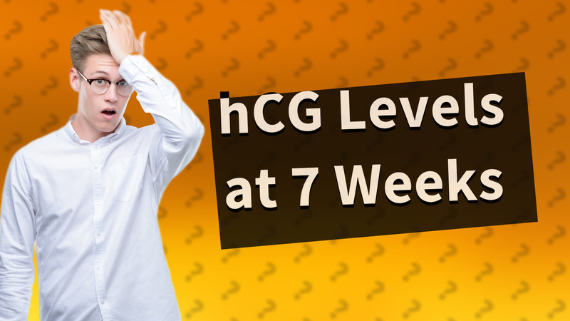 hCG Levels at 7 Weeks