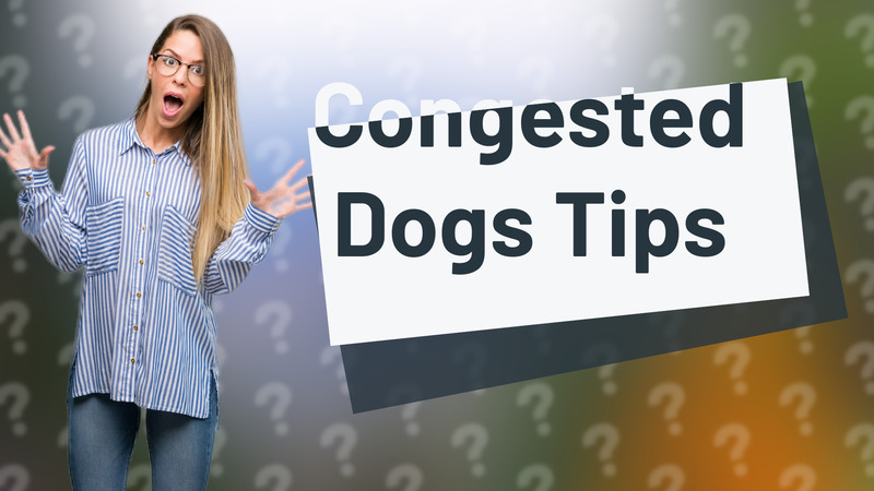 Congested Dogs Tips