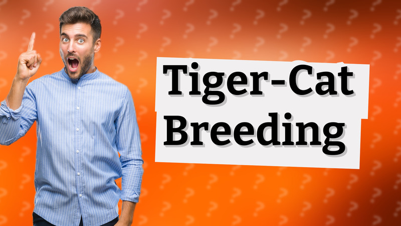 Tiger-Cat Breeding