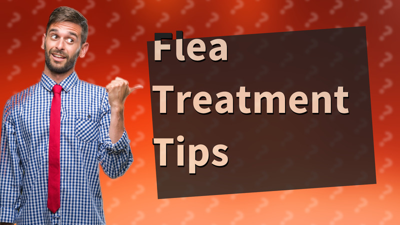 Flea Treatment Tips