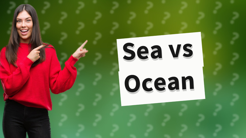 Sea vs Ocean