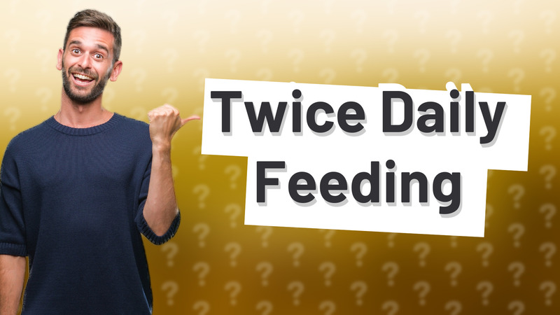 Twice Daily Feeding