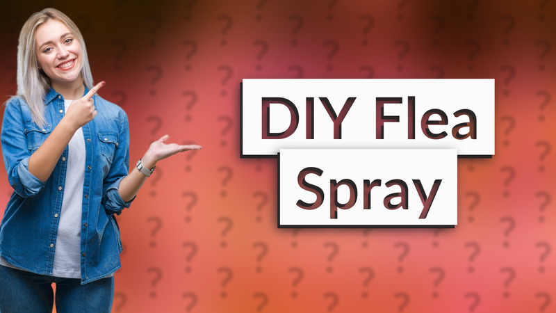 DIY Flea Spray