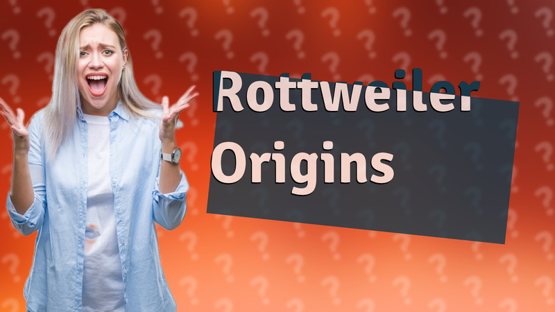 Rottweiler Origins
