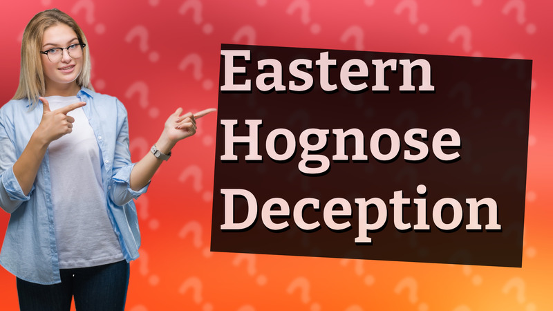 Eastern Hognose Deception