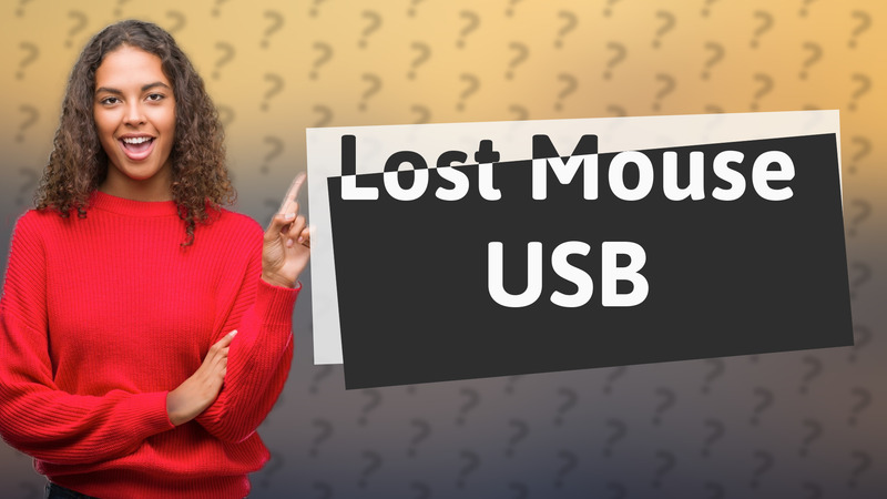 Lost Mouse USB