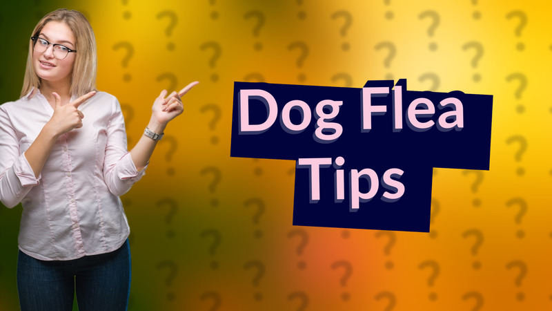 Dog Flea Tips