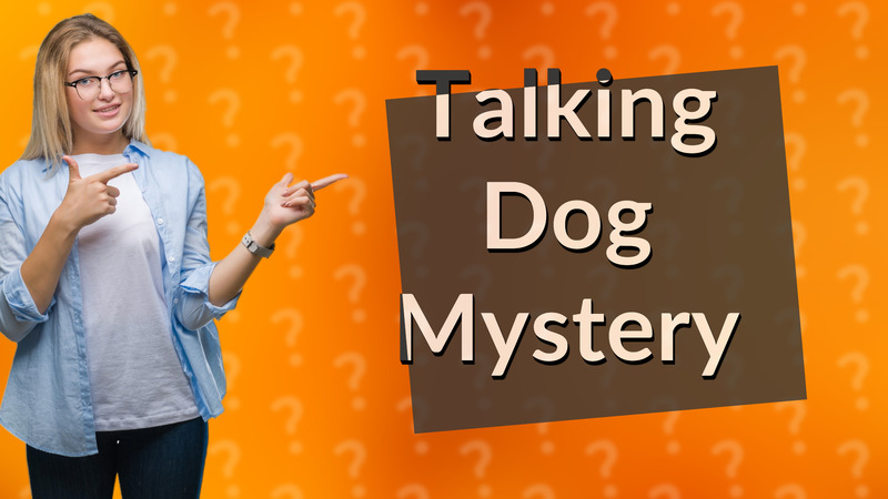 Talking Dog Mystery
