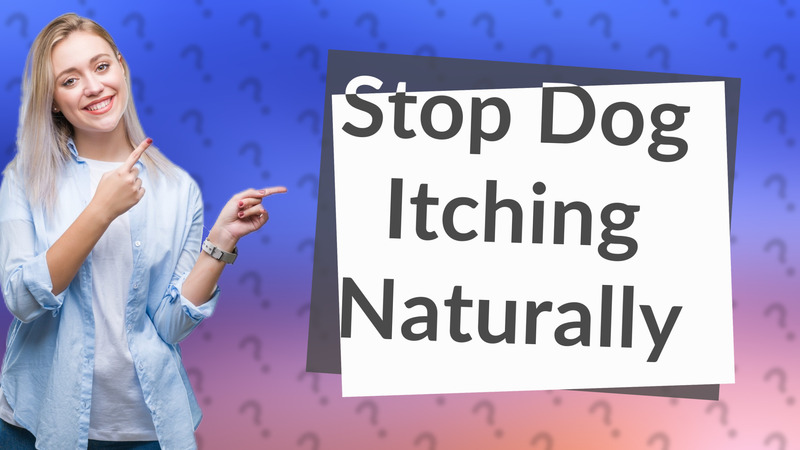 Stop Dog Itching Naturally