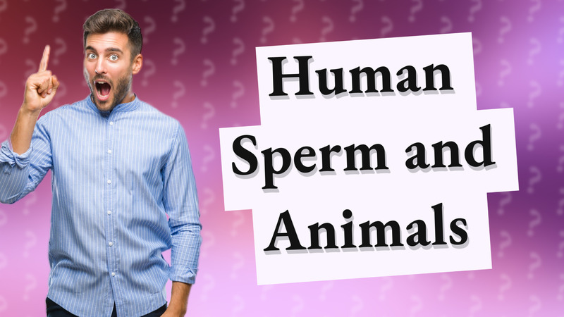 Human Sperm and Animals