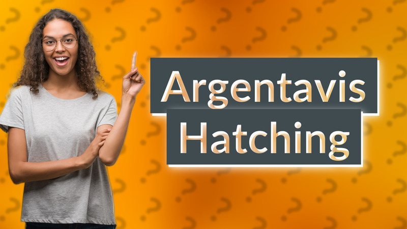 Argentavis Hatching