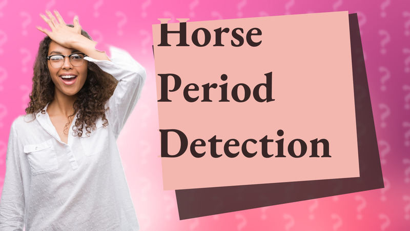 Horse Period Detection