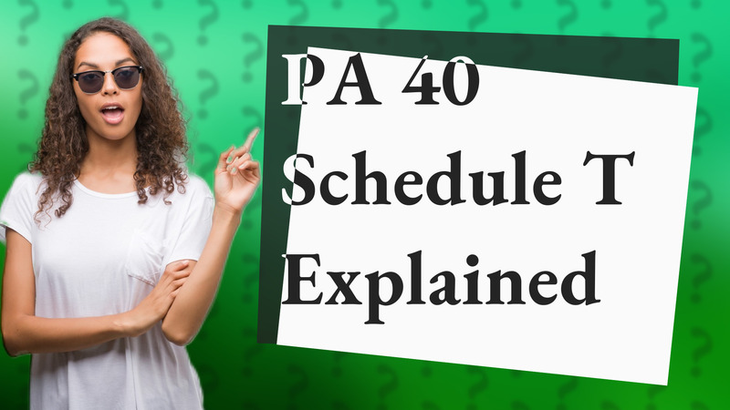 PA 40 Schedule T Explained