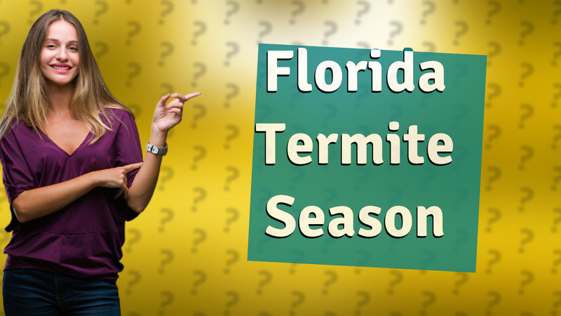 Florida Termite Season