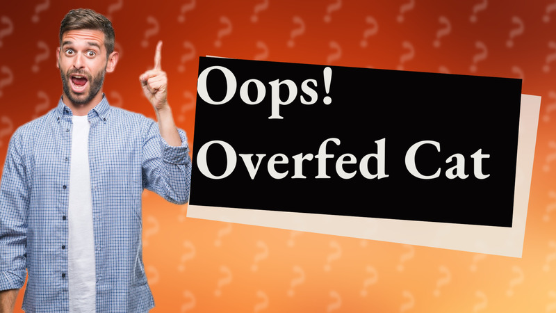 Oops! Overfed Cat