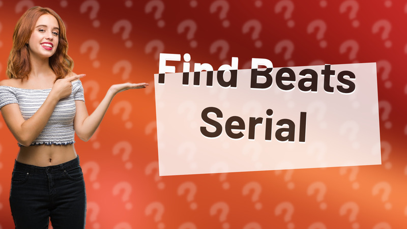Find Beats Serial