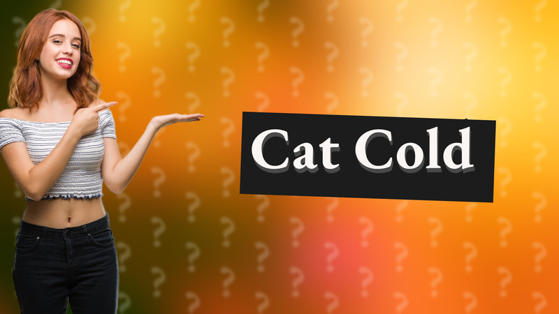 Cat Cold