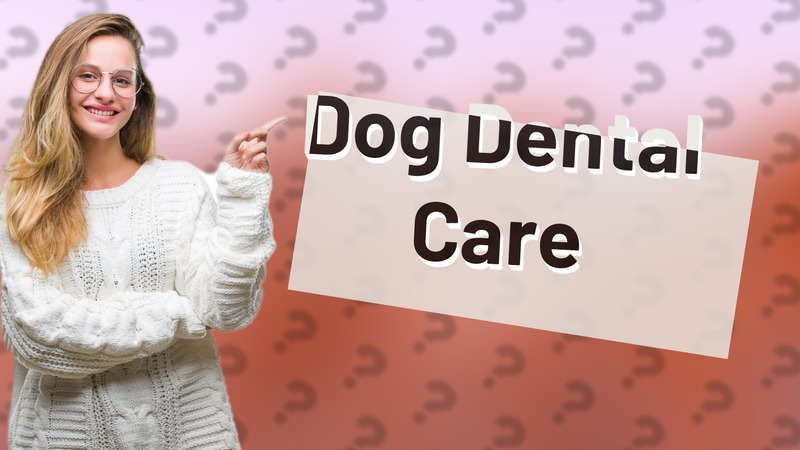 Dog Dental Care