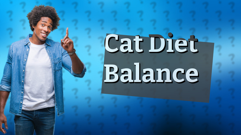 Cat Diet Balance
