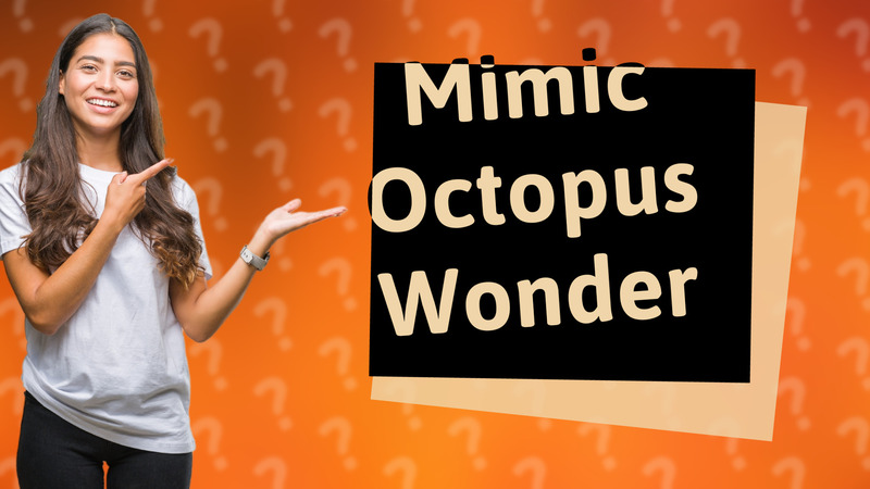 Mimic Octopus Wonder