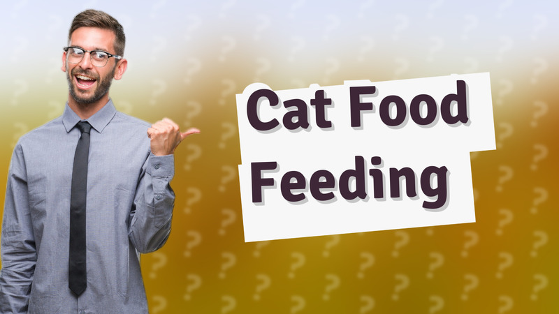 Cat Food Feeding