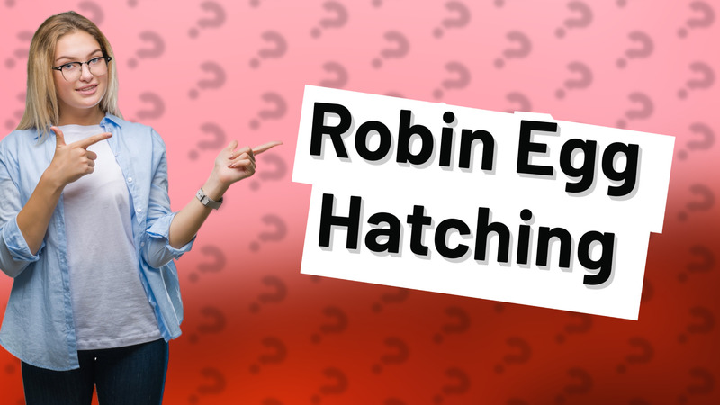 Robin Egg Hatching