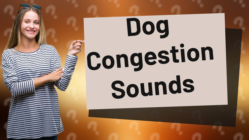 Dog Congestion Sounds