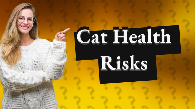 Cat Health Risks