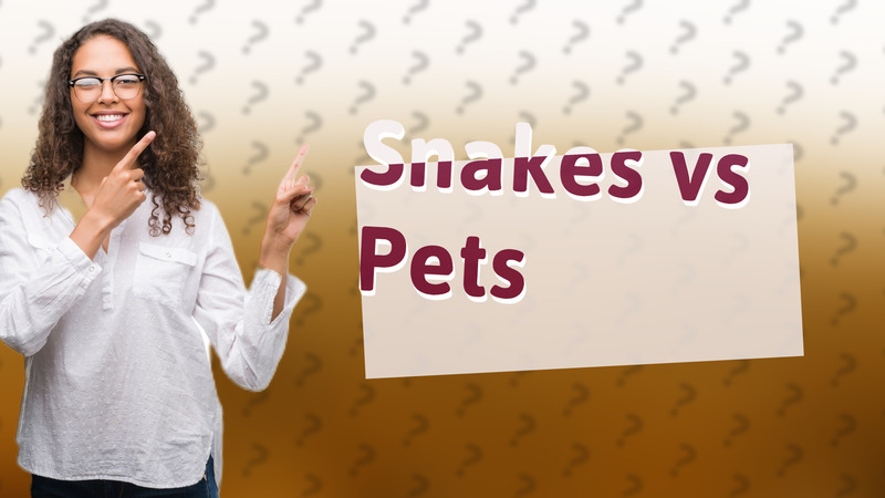 Snakes vs Pets