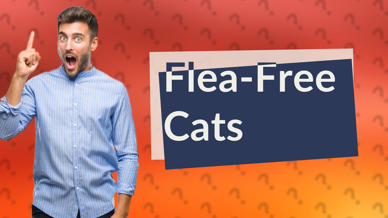Flea-Free Cats