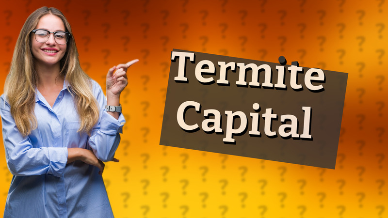 Termite Capital