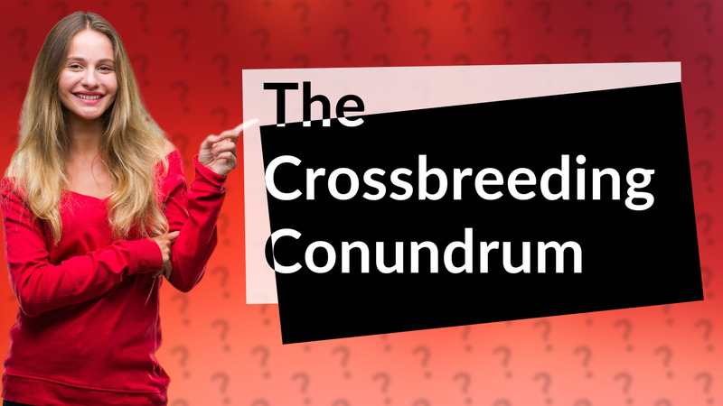 The Crossbreeding Conundrum