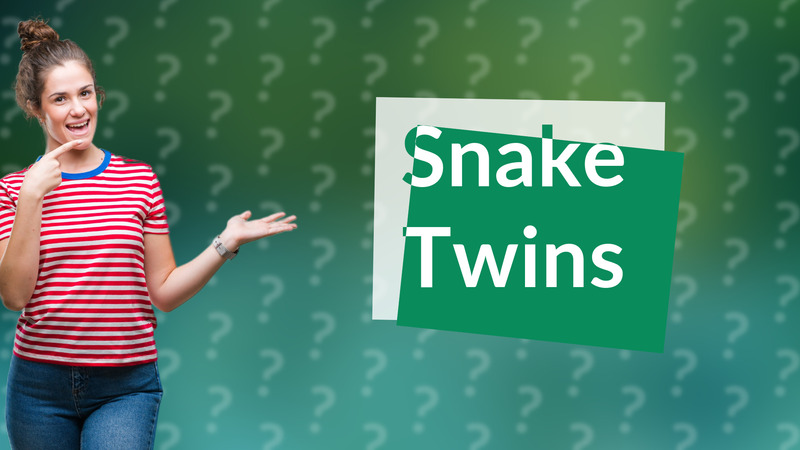 Snake Twins