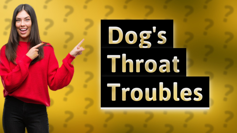 Dog's Throat Troubles