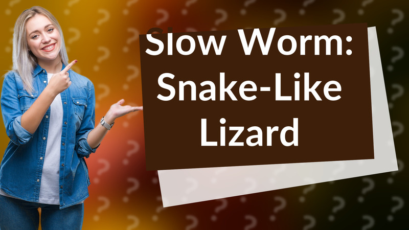Slow Worm: Snake-Like Lizard