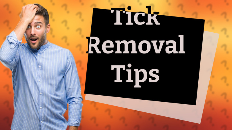 Tick Removal Tips