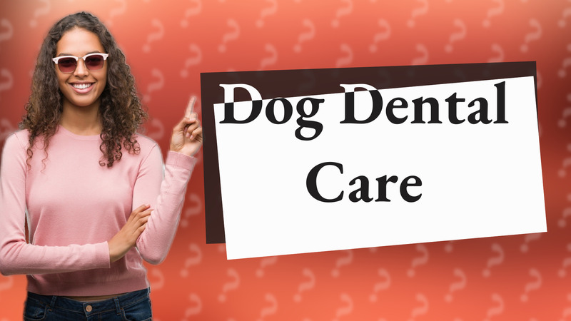 Dog Dental Care