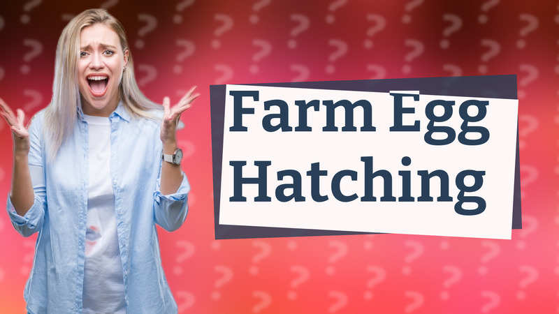 Farm Egg Hatching
