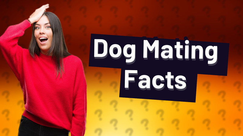 Dog Mating Facts