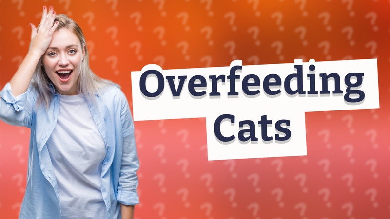 Overfeeding Cats