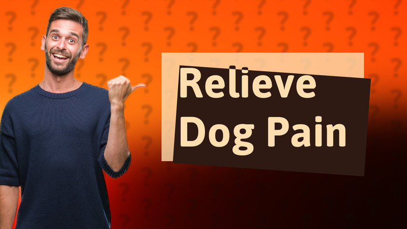 Relieve Dog Pain