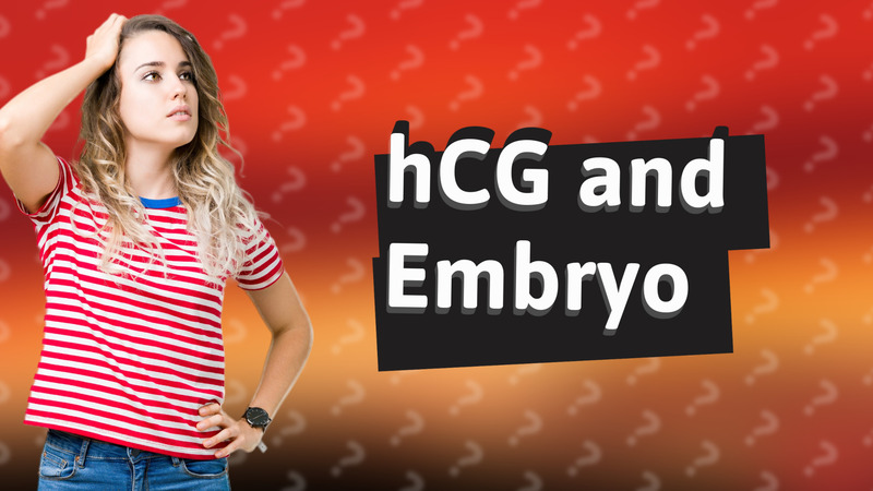 hCG and Embryo