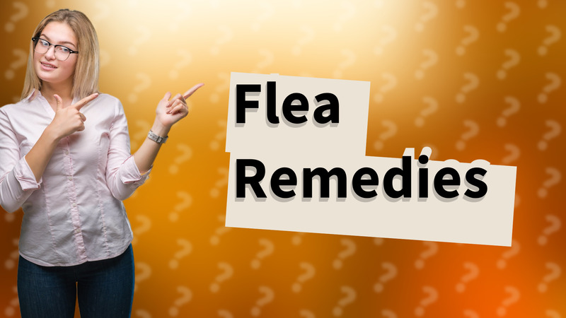 Flea Remedies