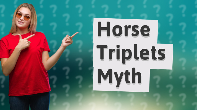 Horse Triplets Myth