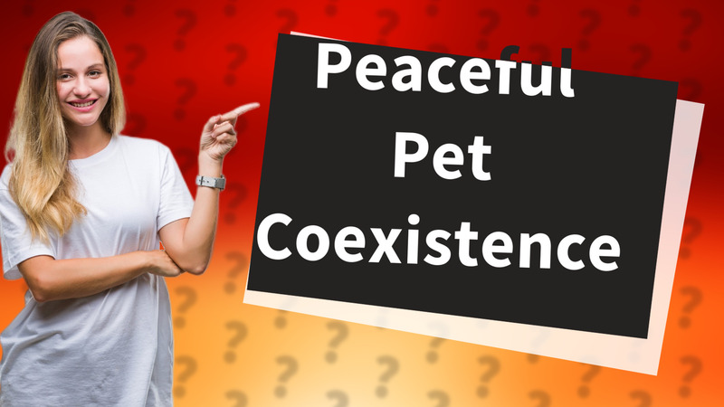 Peaceful Pet Coexistence